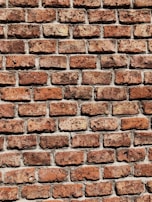 Close-up of the textured surface of a single bowlia enterprise brick.