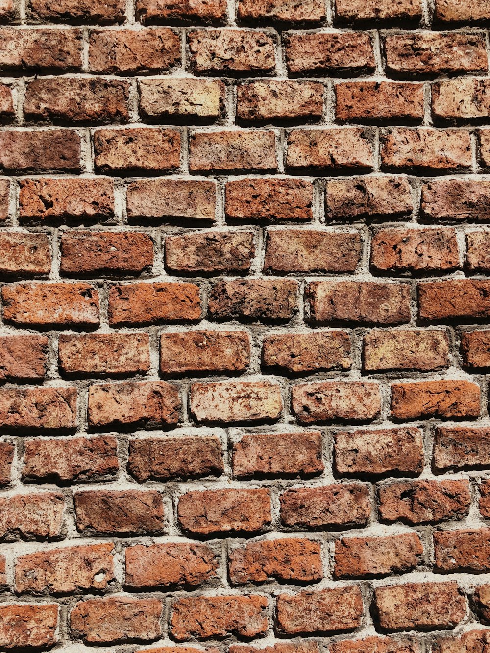 brown brick wall on daylight