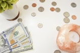 A collection of US currency is spread out on a white surface, including several hundred-dollar bills and a variety of coins. A small potted succulent plant is positioned on the left side, while a pink Himalayan salt candle holder is on the right.