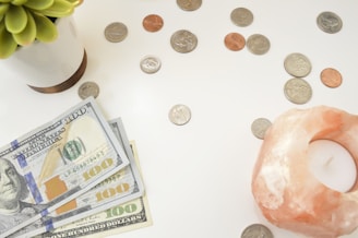 A collection of US currency is spread out on a white surface, including several hundred-dollar bills and a variety of coins. A small potted succulent plant is positioned on the left side, while a pink Himalayan salt candle holder is on the right.