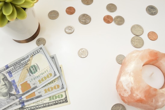 A collection of US currency is spread out on a white surface, including several hundred-dollar bills and a variety of coins. A small potted succulent plant is positioned on the left side, while a pink Himalayan salt candle holder is on the right.