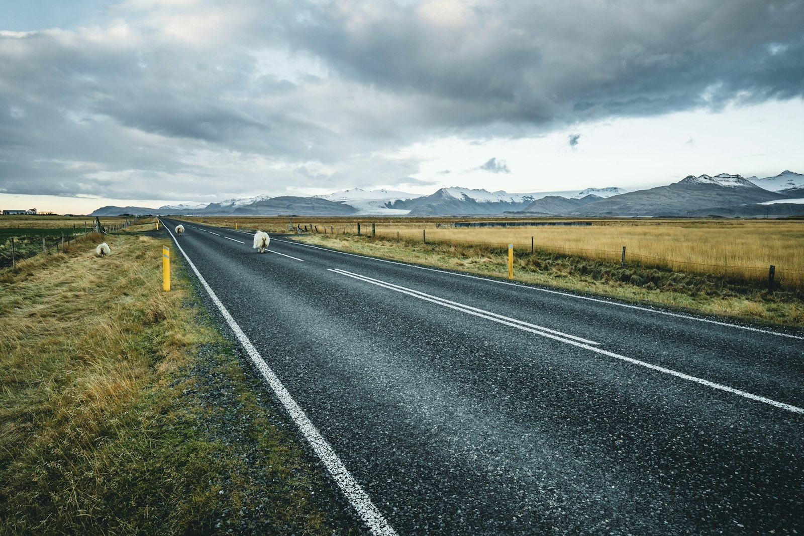 Sigma 24mm F1.4 DG HSM Art sample photo. Gray concrete road between photography