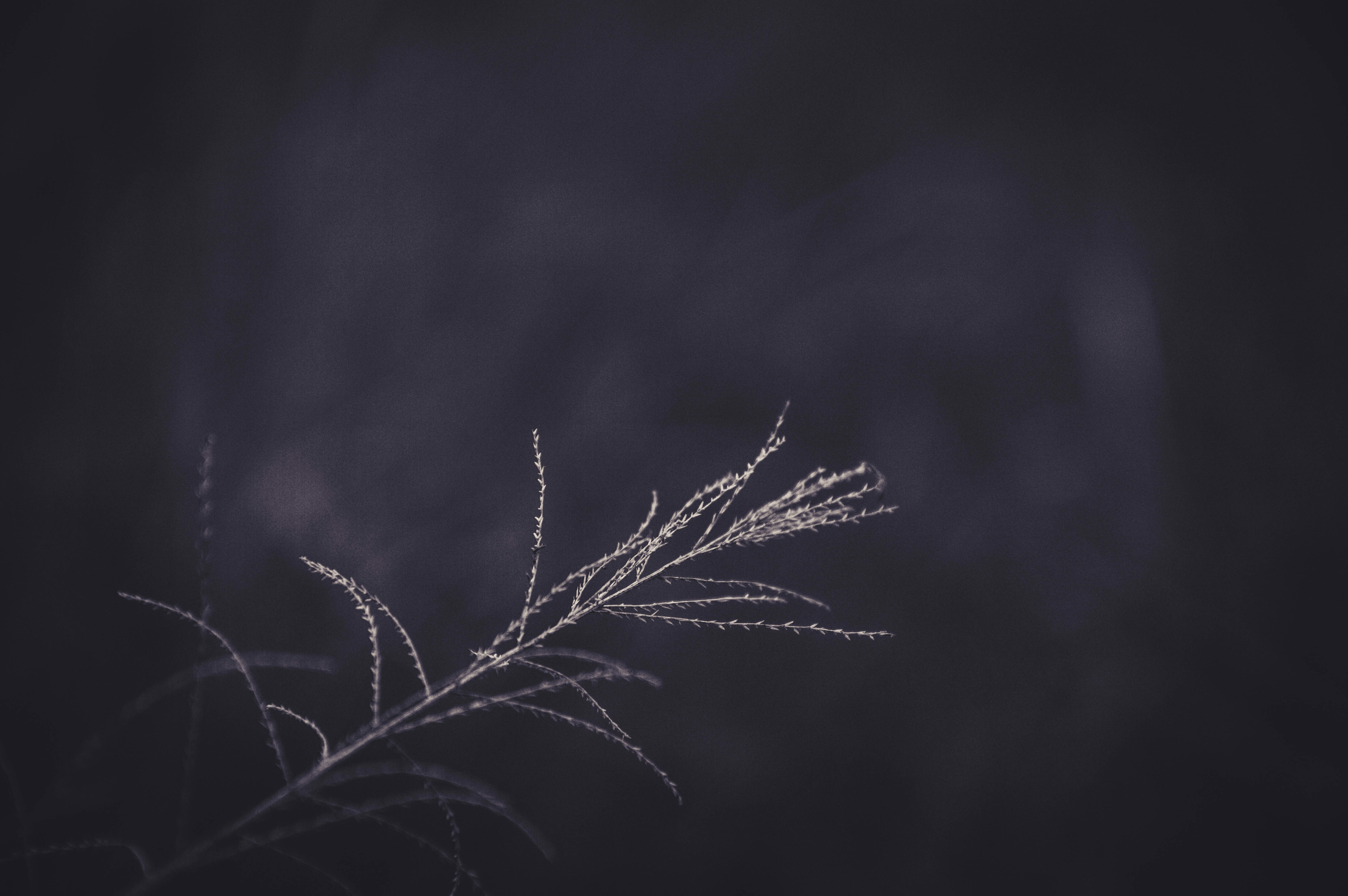 Photo by shaifulnizam