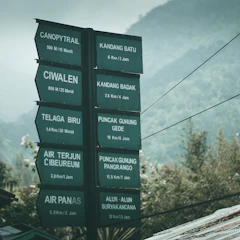 A guide pointing towards mountain trails with guests ready for a trek, surrounded by lush greenery.