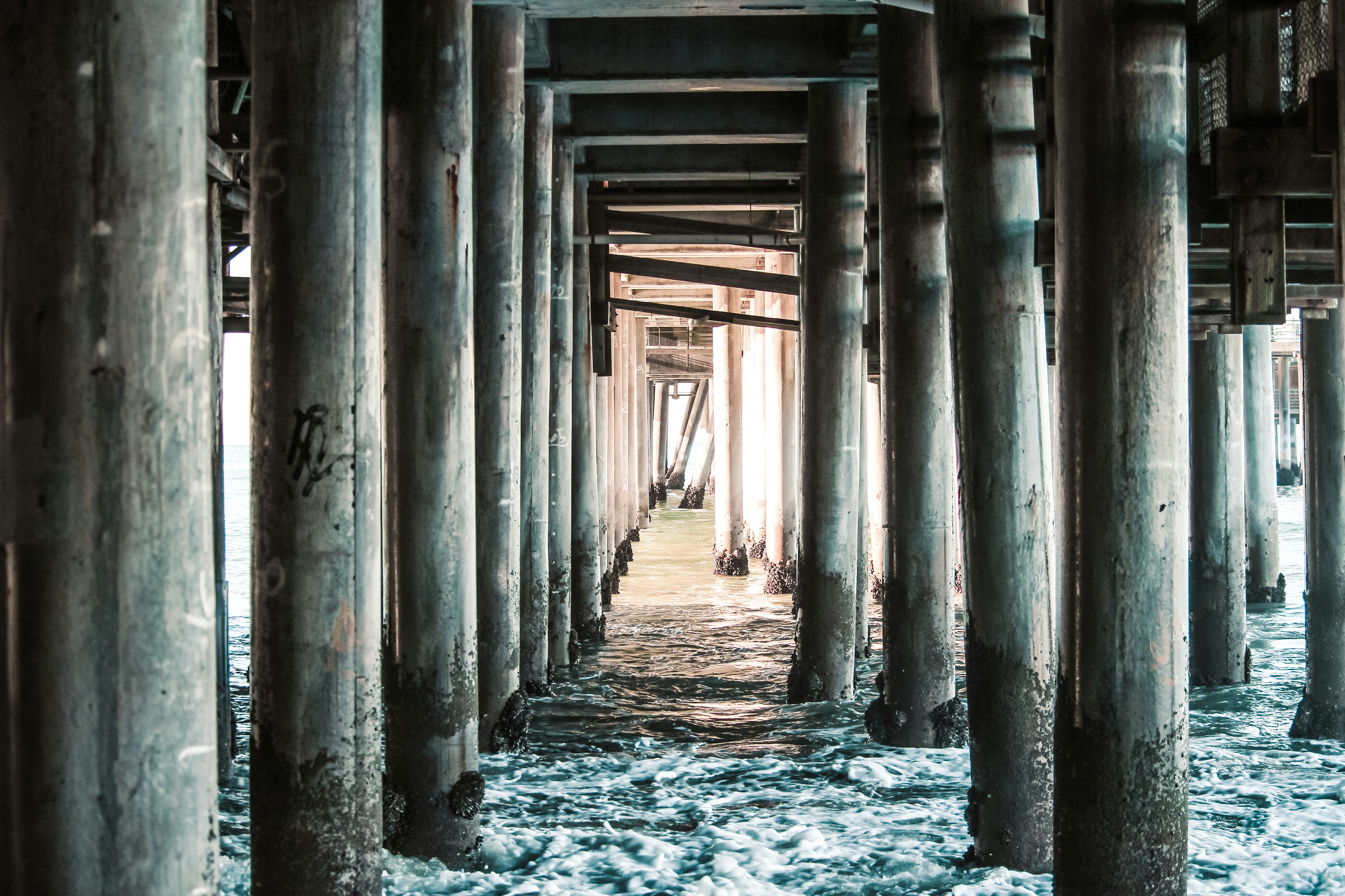 Photo by californong