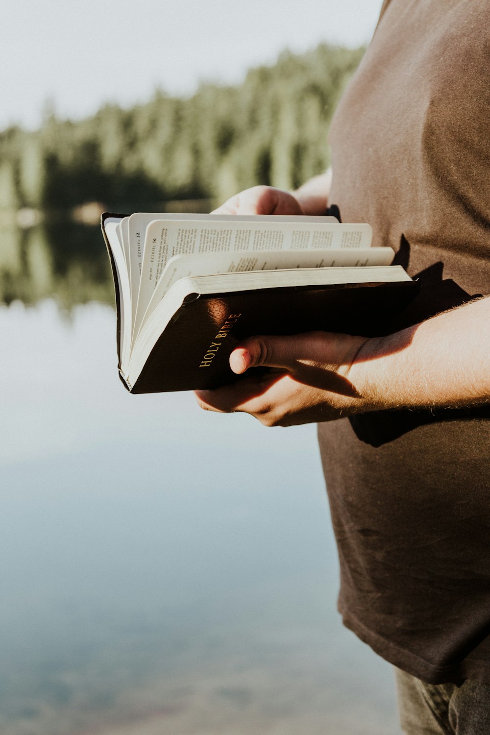 person reading Holy Bible