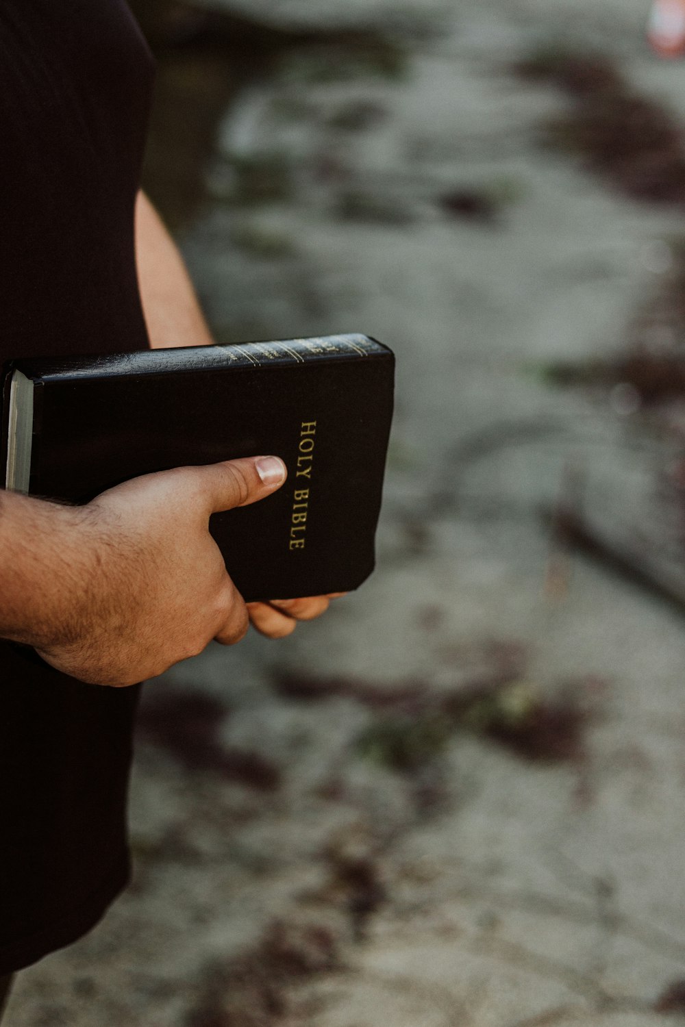 person holding Holy Bible