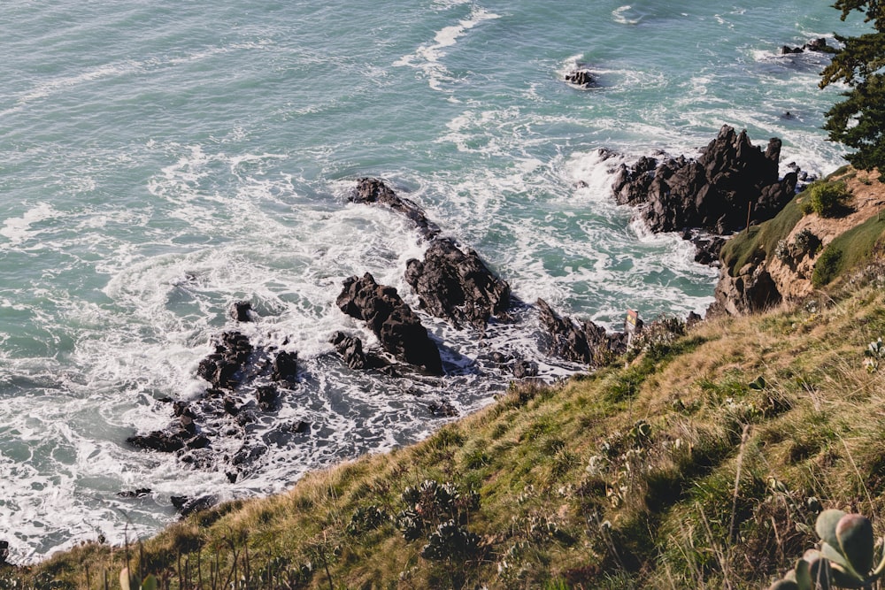 sea waves front of green grass at daytime