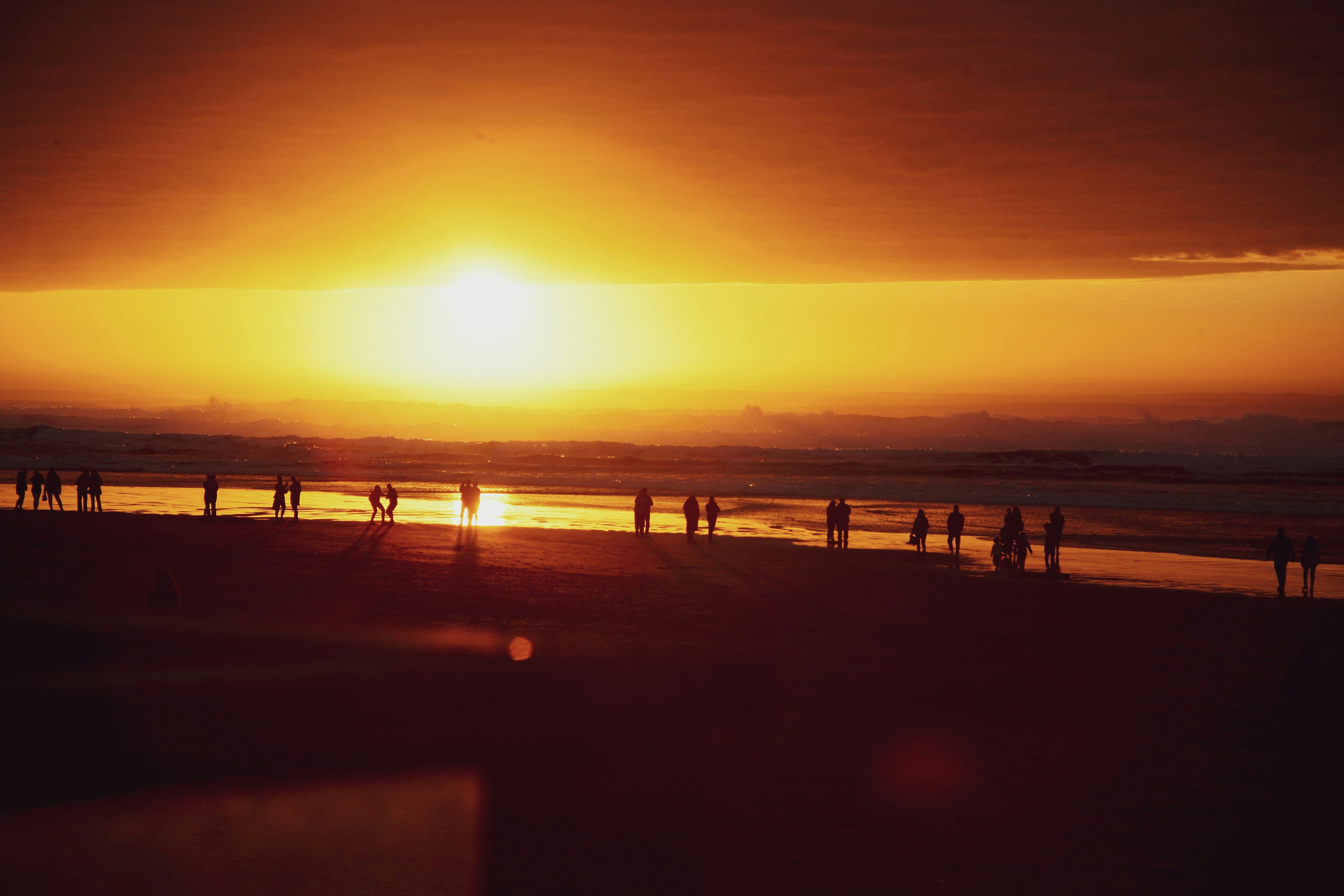 Image de Sea Lounge Ritual 2025 : l’ultime sanctuaire électro en plein air à Palombaggia