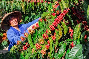 woman standing in front of coffee tree