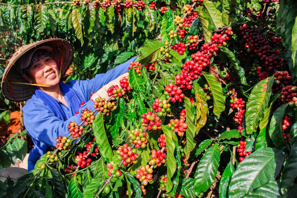 woman standing in front of coffee tree