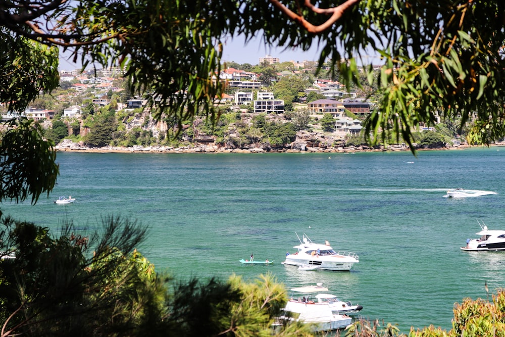 three white yachts on calm water