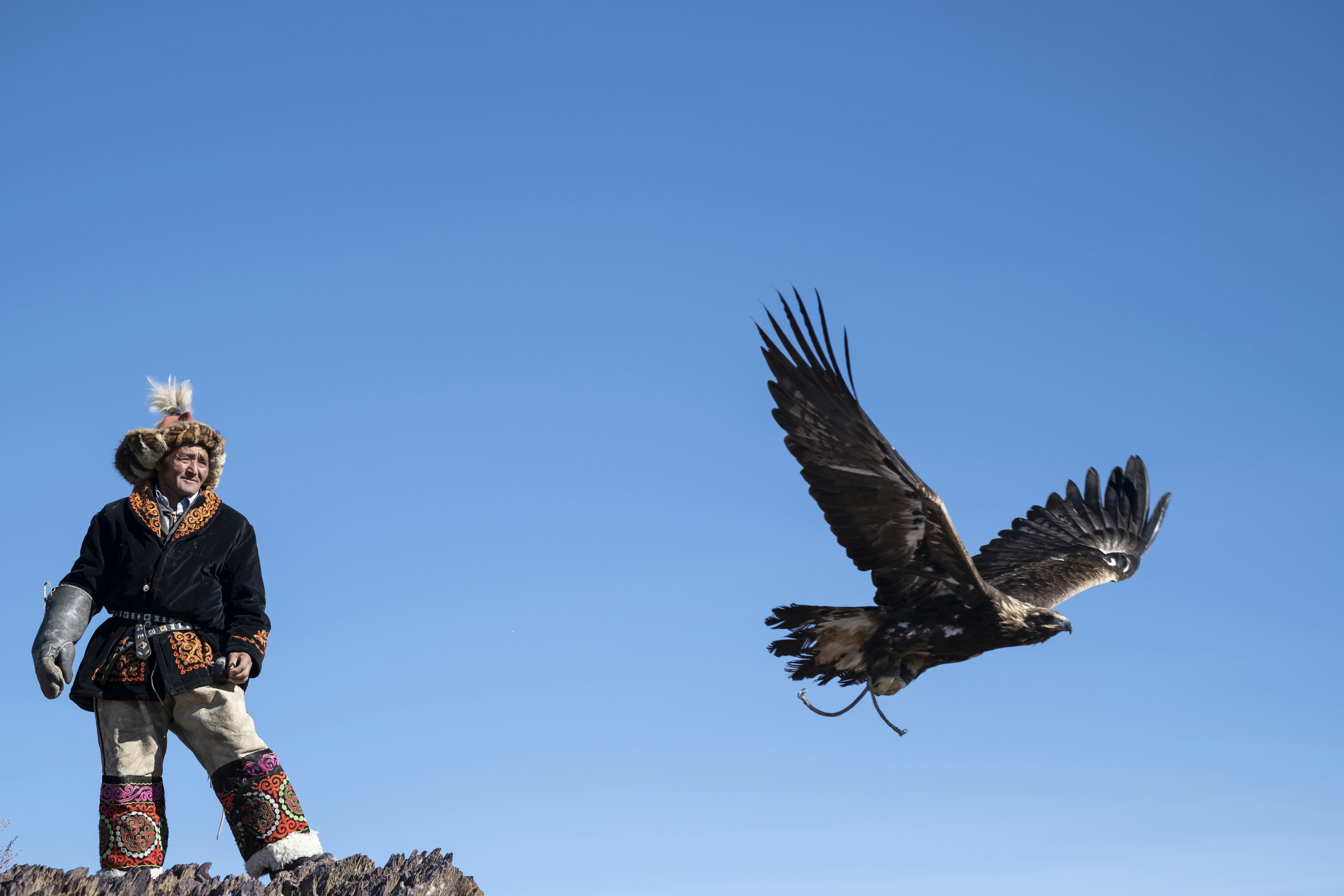 man standing near flying bird