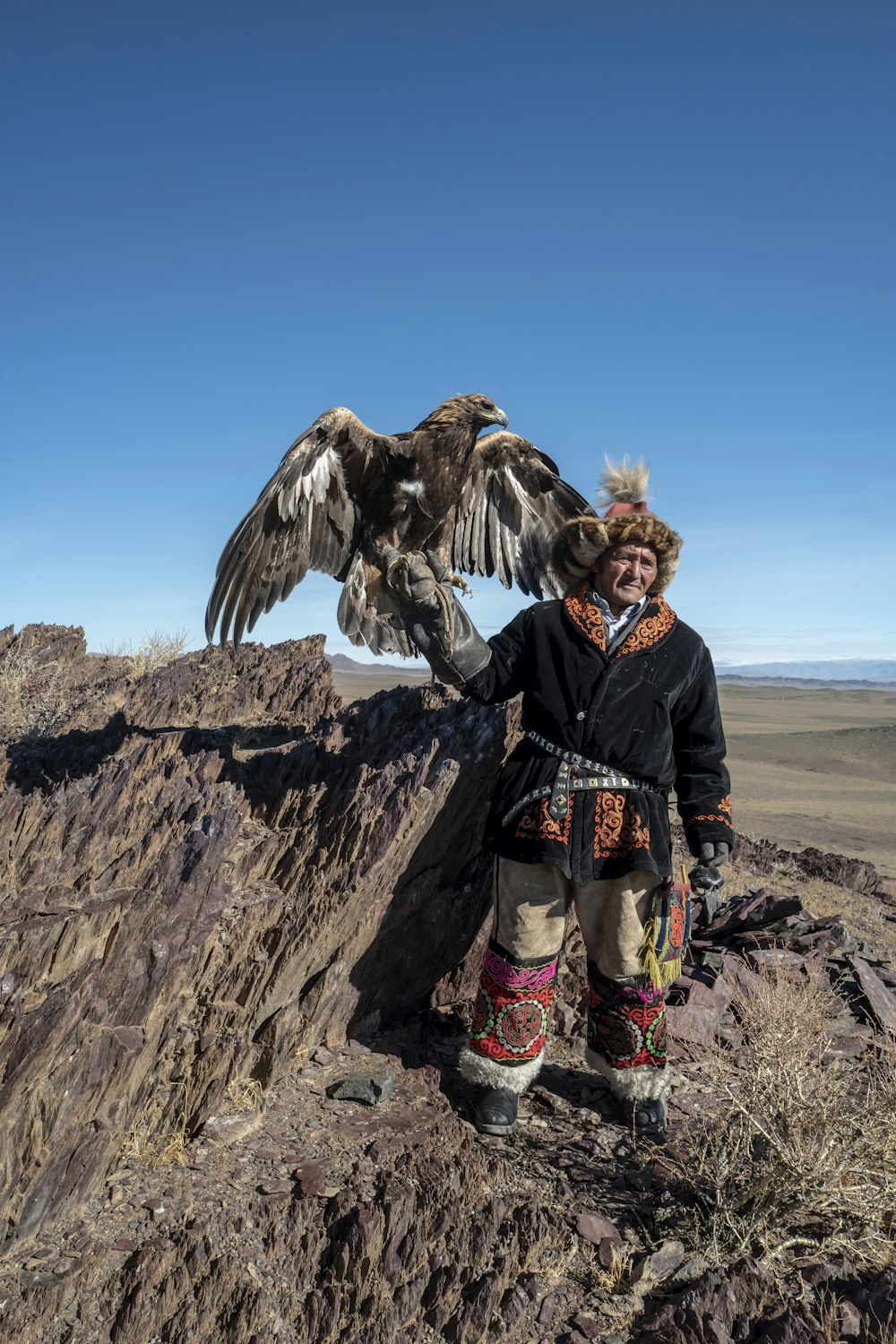 brown eagle perched on person's hand wearing black coat standing on rock while