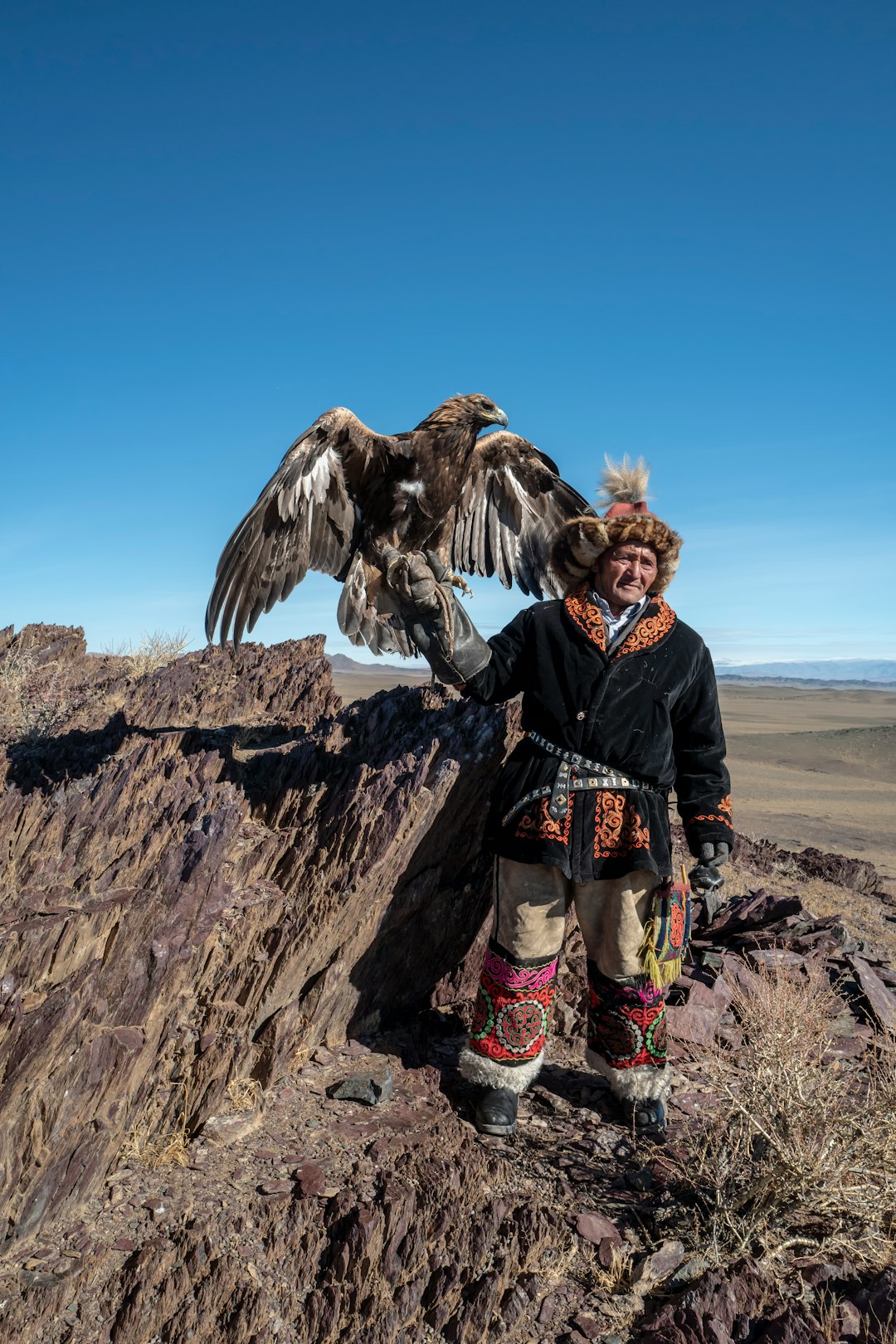 brown eagle perched on person's hand wearing black coat standing on rock while