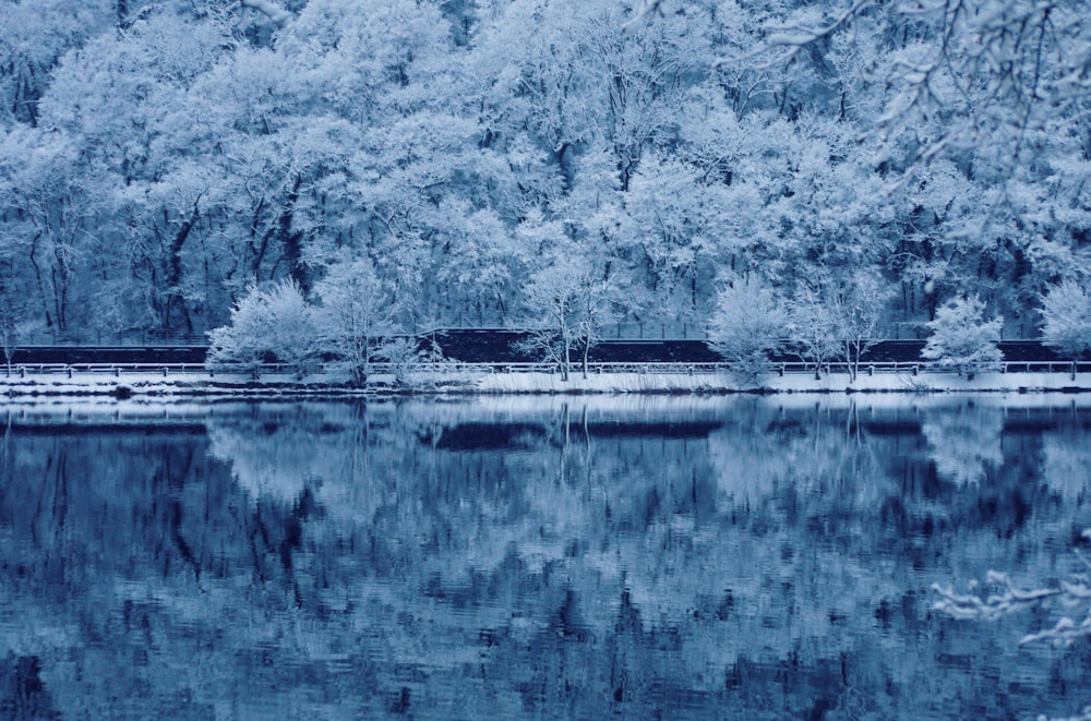 photography of white bridge during daytime