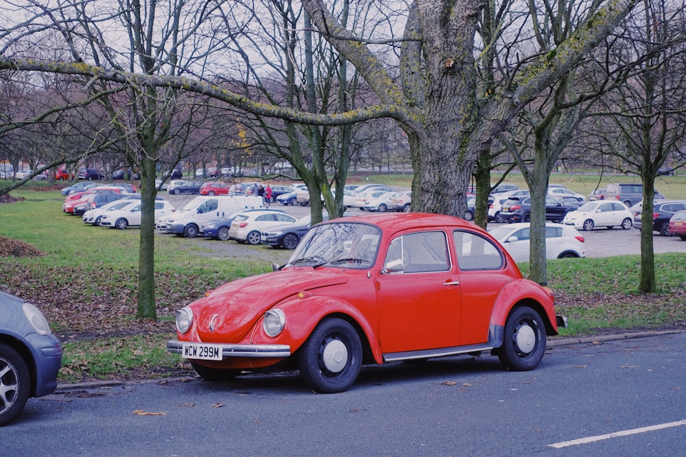 red Volkswagen Beetle coupe parked near tree