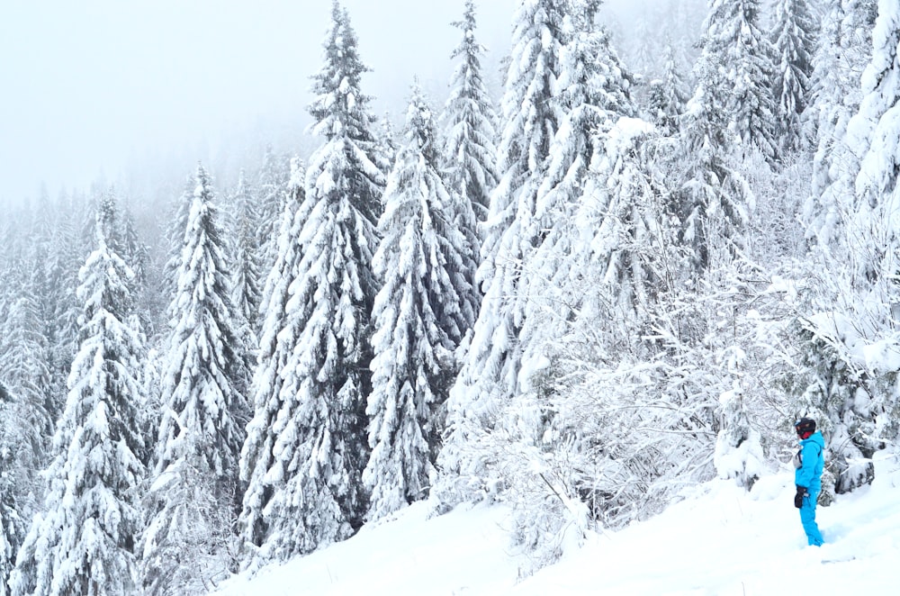 person wearing snow suit standing near snow-covered pine trees