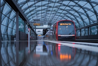 black train