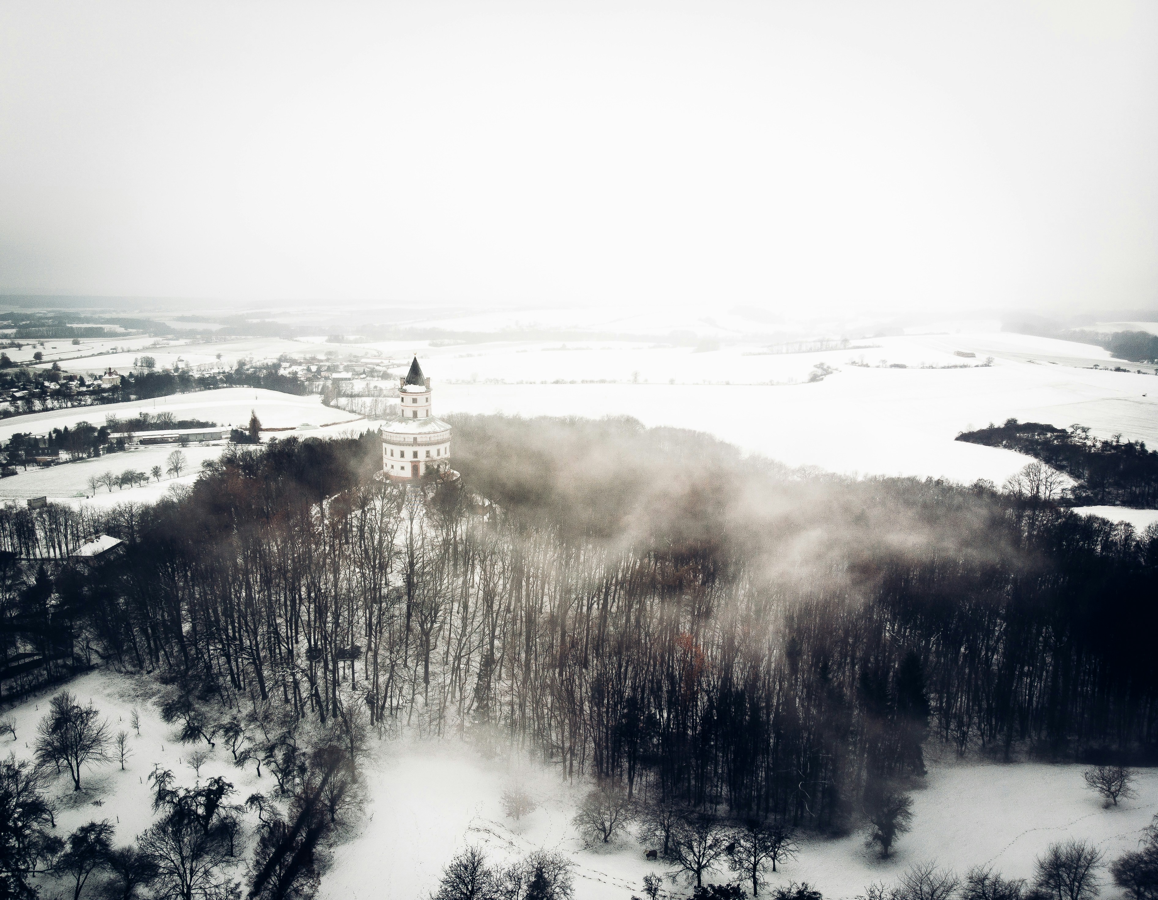 Photo by lilcoln
