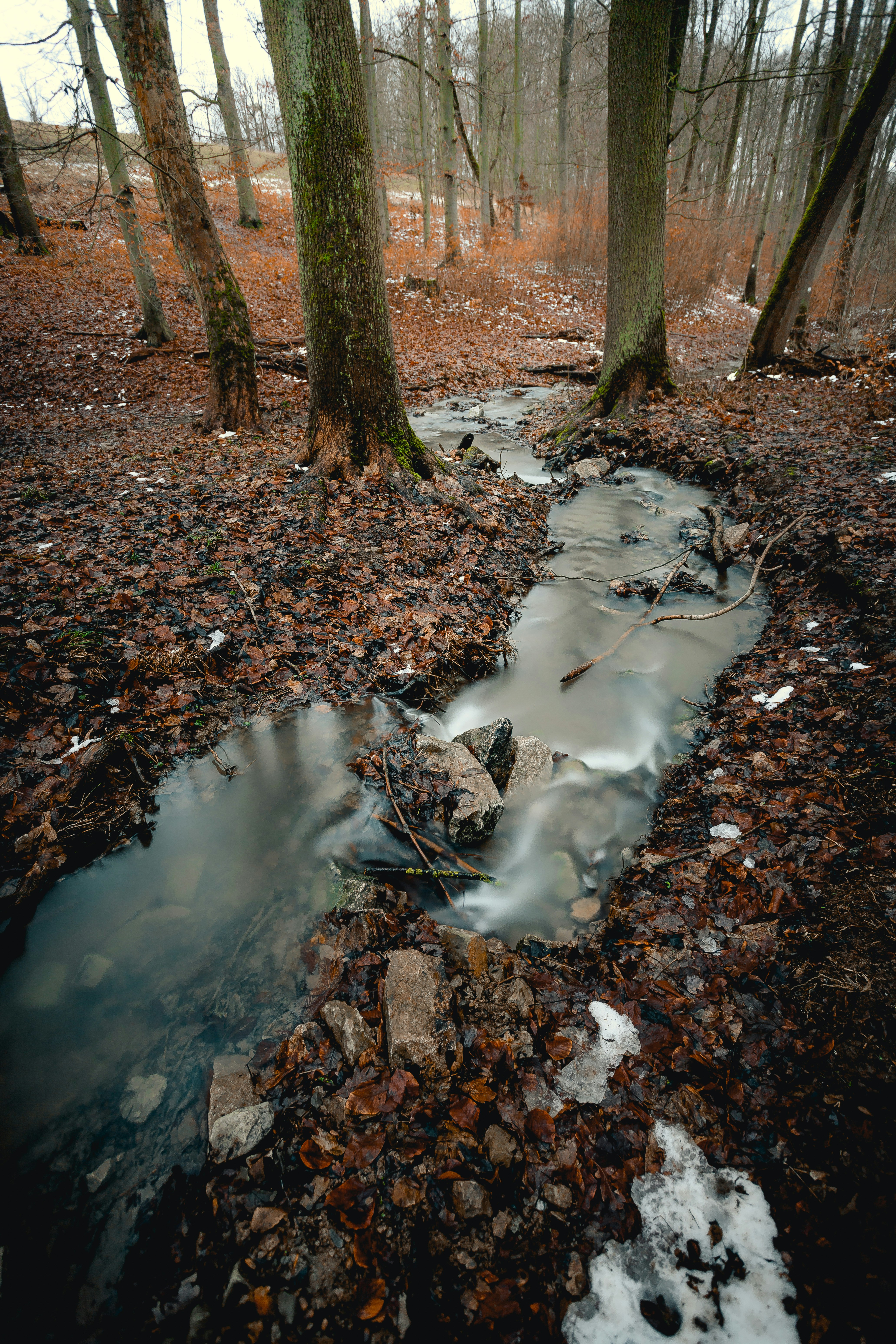 Photo by niklas_hamann