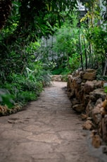 empty pathway during daytime