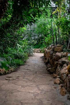 empty pathway during daytime