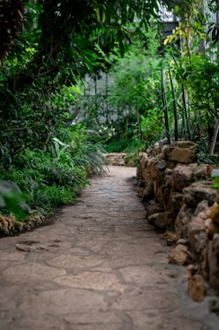 empty pathway during daytime