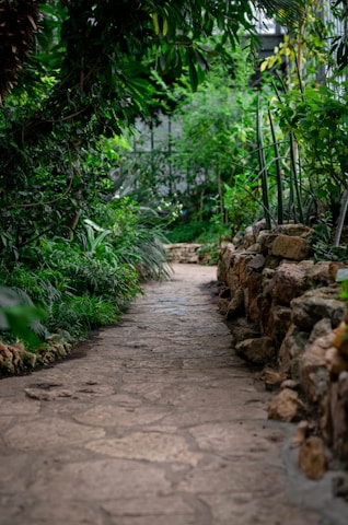 empty pathway during daytime