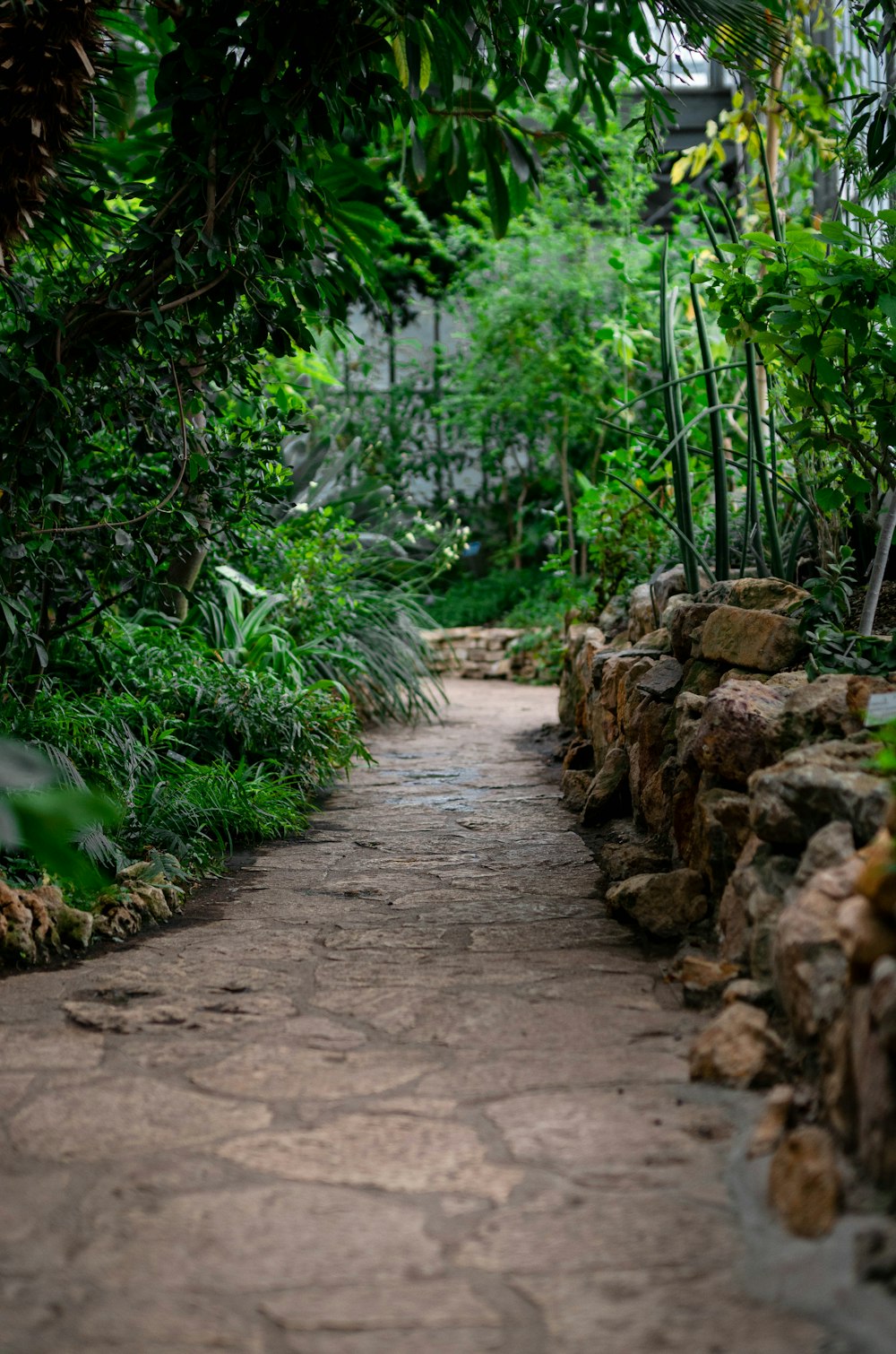 empty pathway during daytime