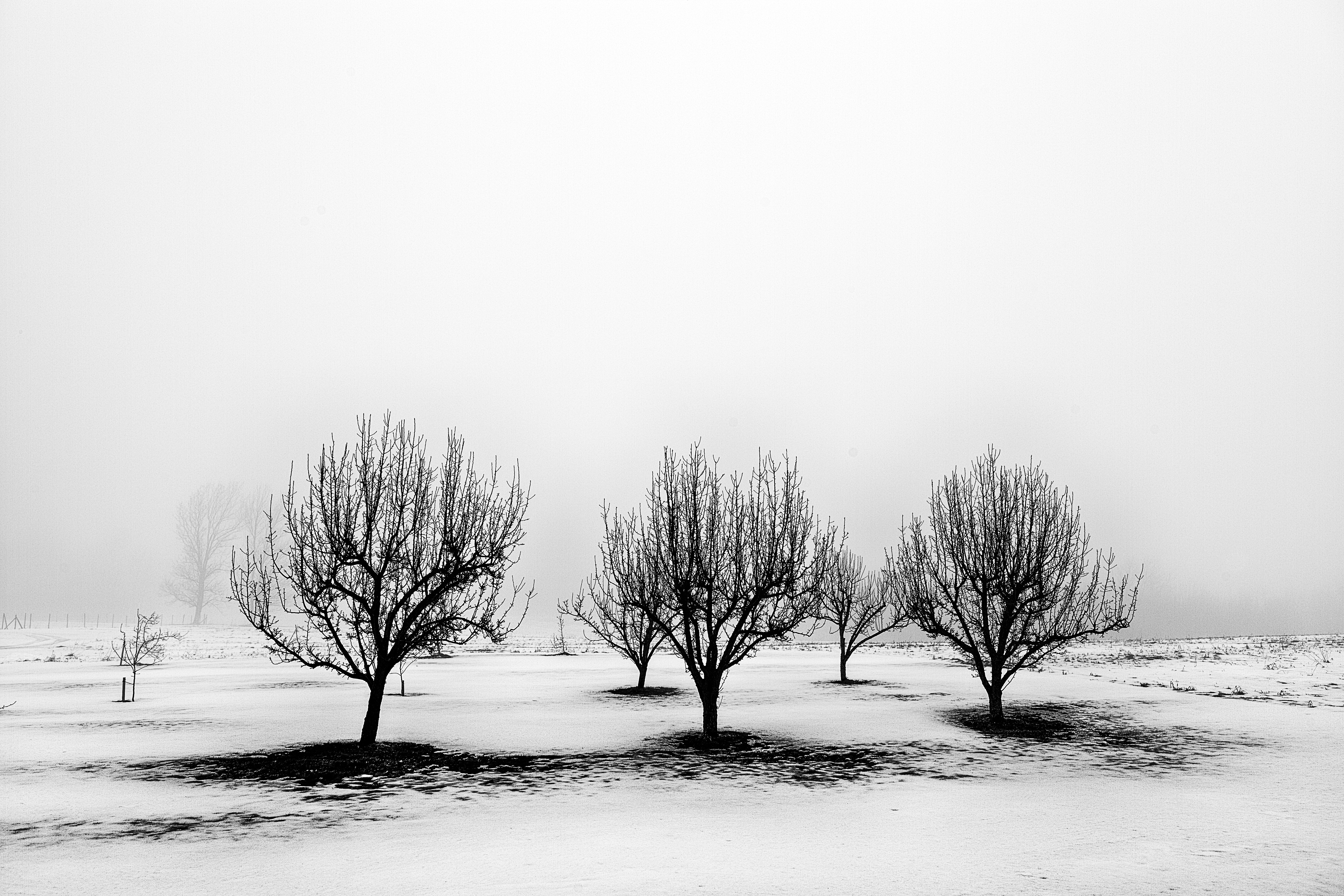 Photo by ronwhitaker