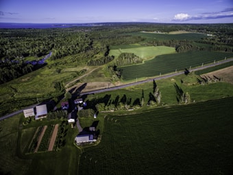 Aerial view of a large, expansive countryside landscape featuring lush green fields and farmlands. Several buildings and structures are scattered throughout the area, including farmhouses and barns. A road runs through the farmland, lined with tall trees casting long shadows.