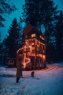A cozy tree house nestled among towering pines with a curious dog peeking out the window.