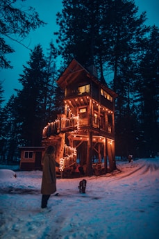 A cozy tree house nestled among towering pines with a curious dog peeking out the window.