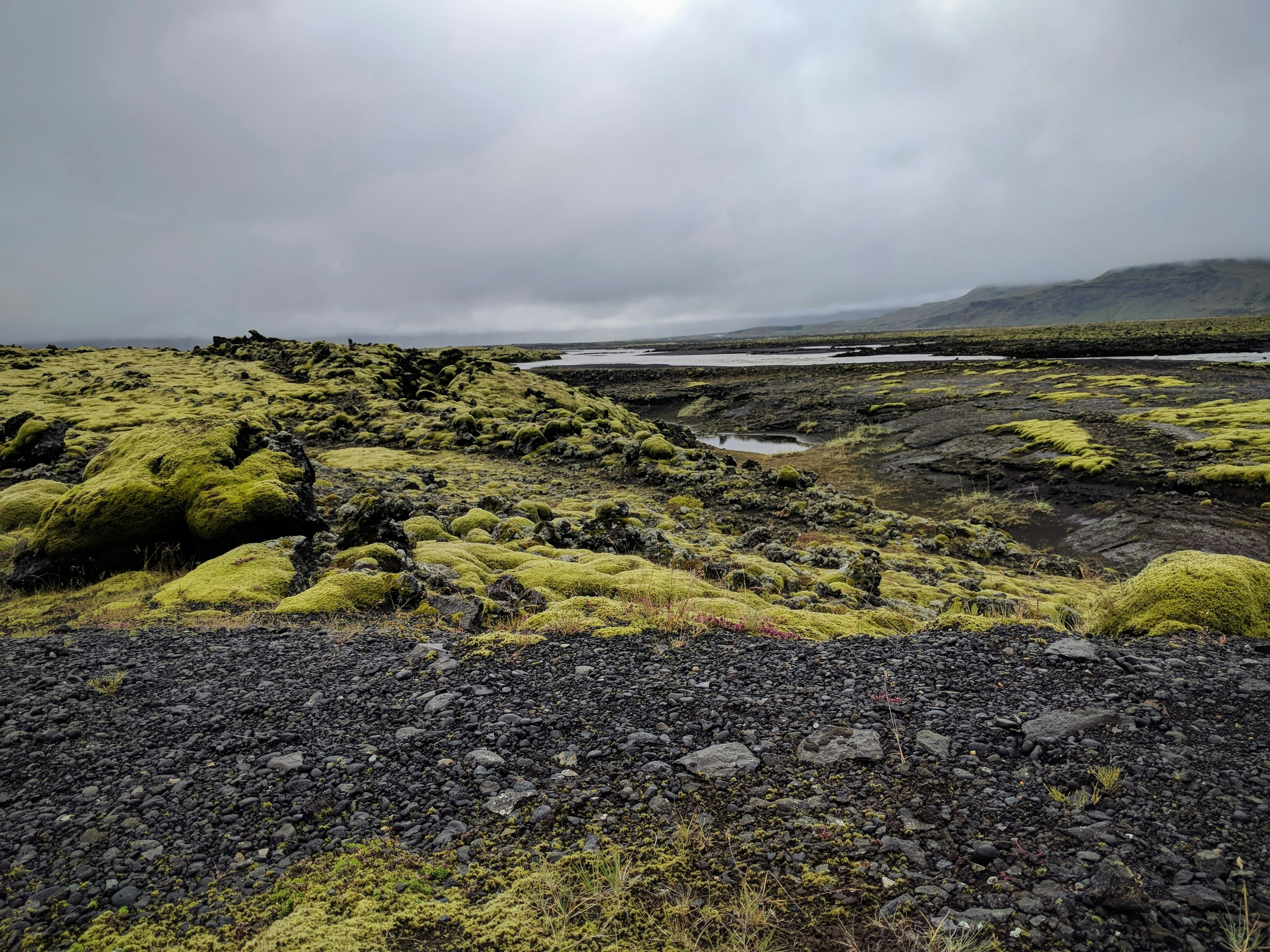 white and brown wooden fence ground teams background