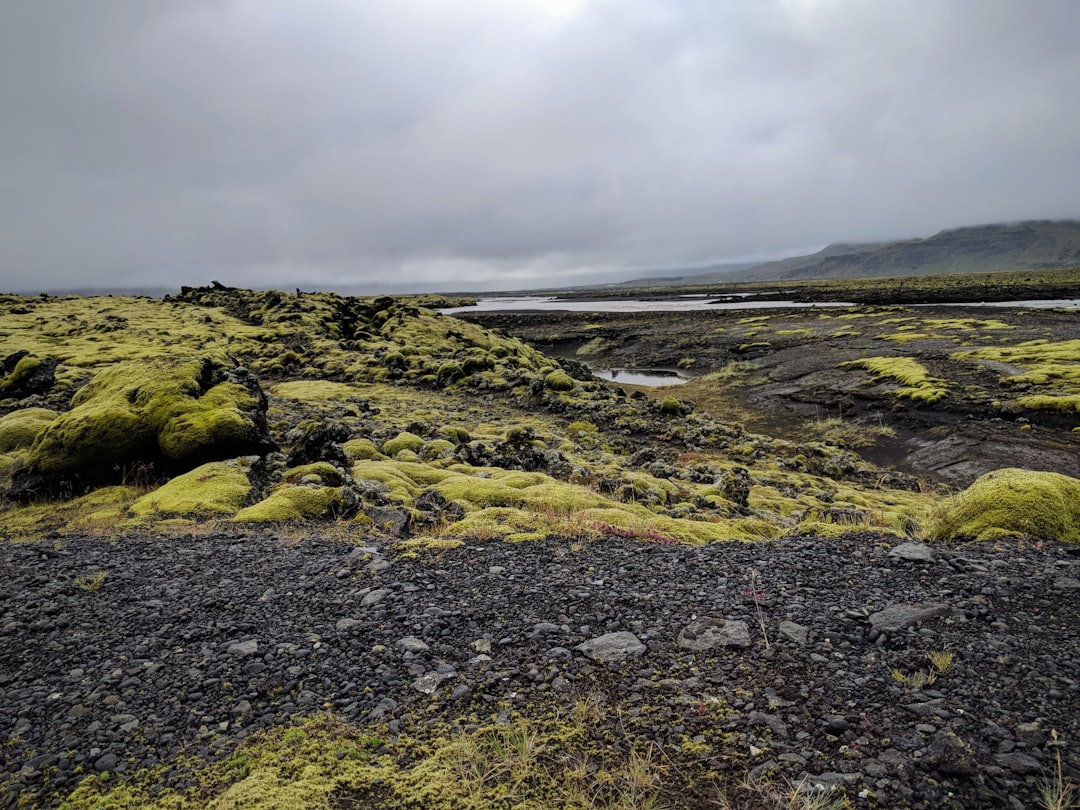 Tundra photo spot Þjóðvegur Dyrhólaey