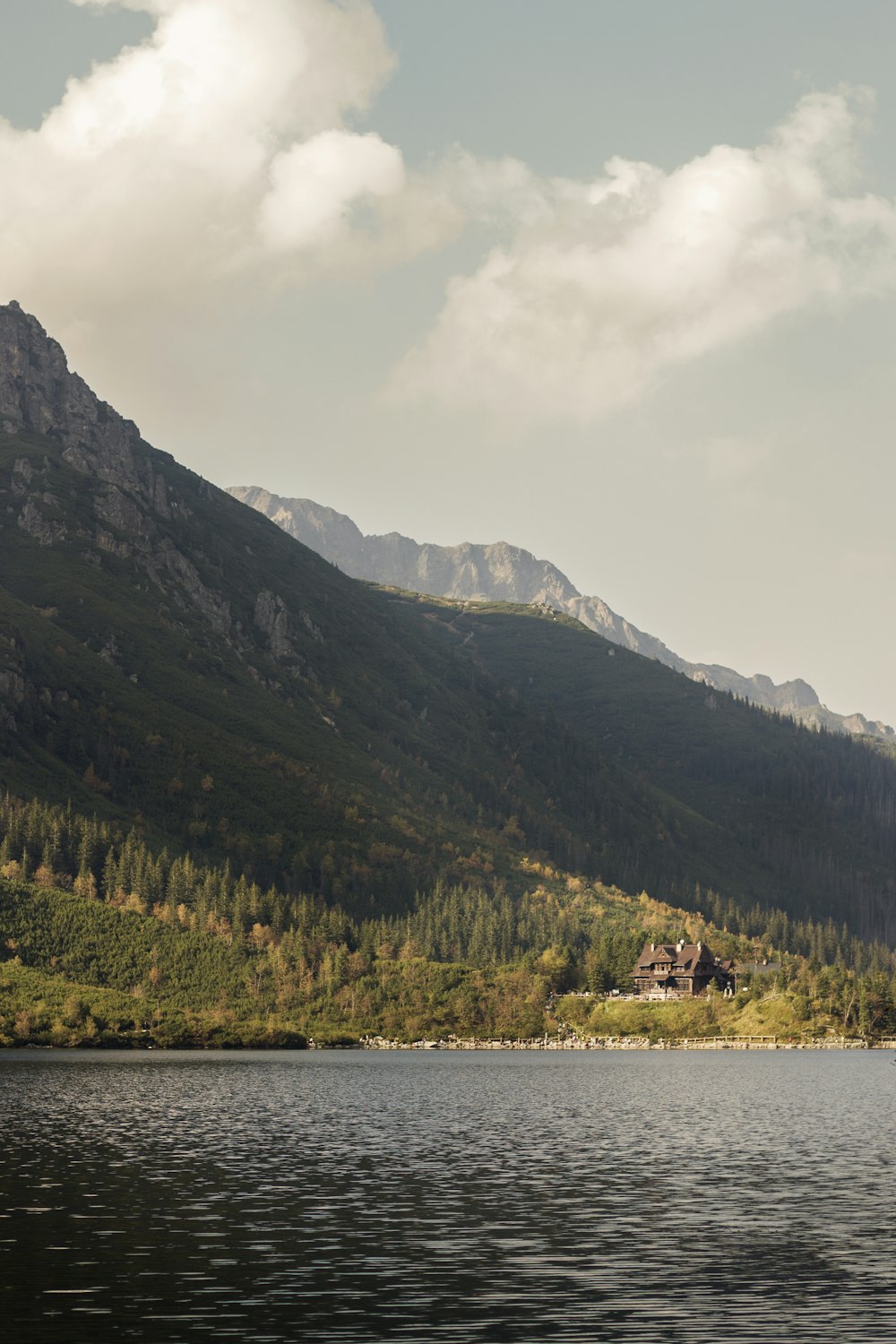 mountain with trees view from body of water