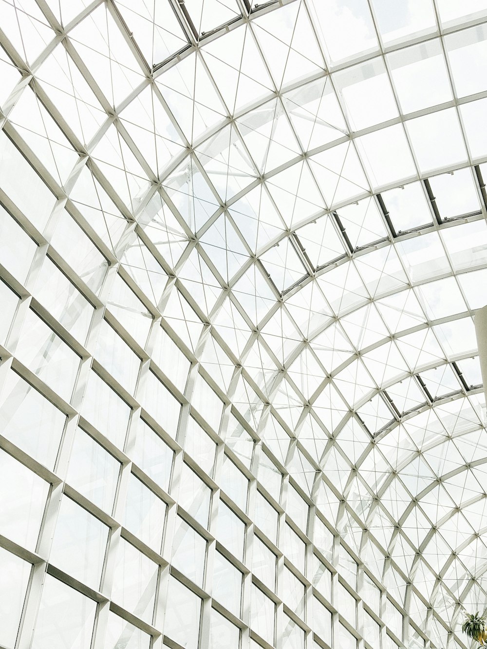 透明なガラス天井のローアングル写真