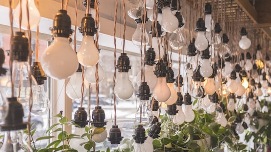 Numerous incandescent light bulbs are hanging from the ceiling in a pattern, with some of the bulbs illuminated. Green plants are placed beneath the bulbs near a large window, creating a blend of natural and artificial elements.