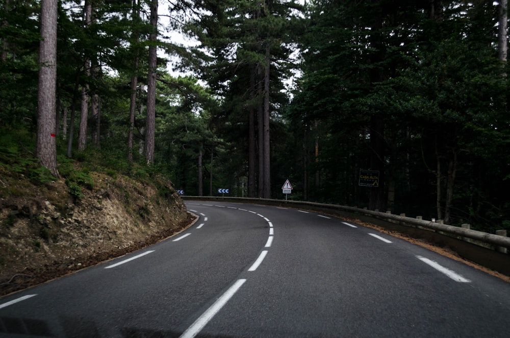 木々の間の灰色の舗装道路