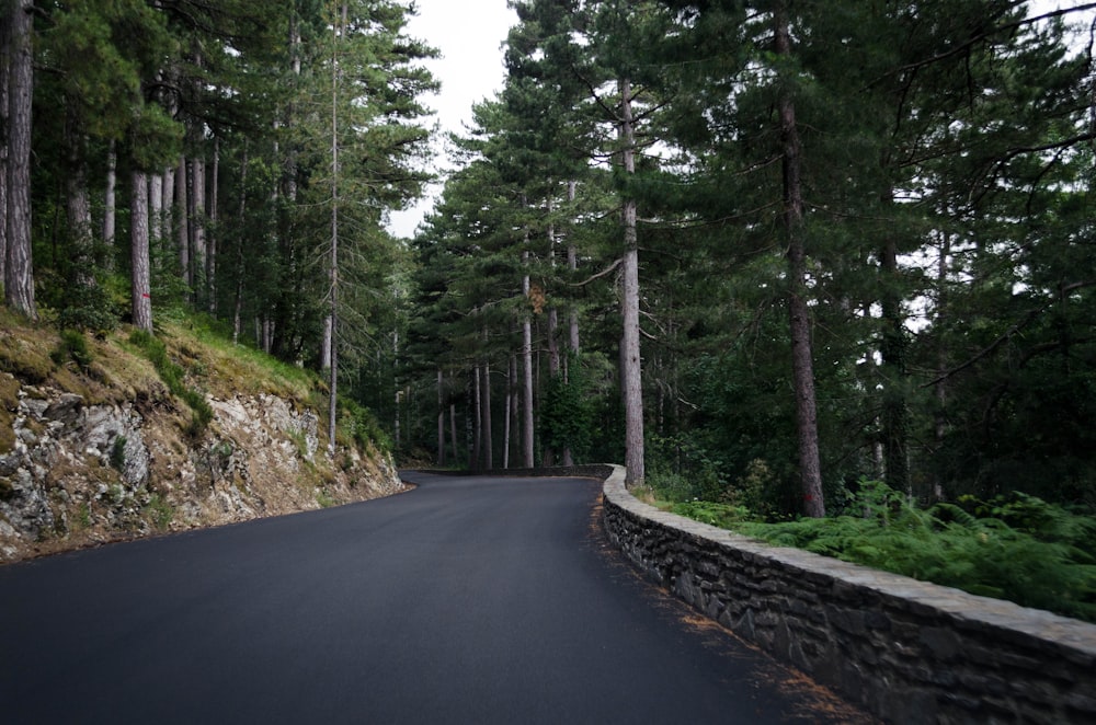 gray asphalted road with no vehicles surrounded with trees