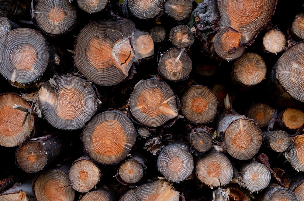 high angle photography of chop logs