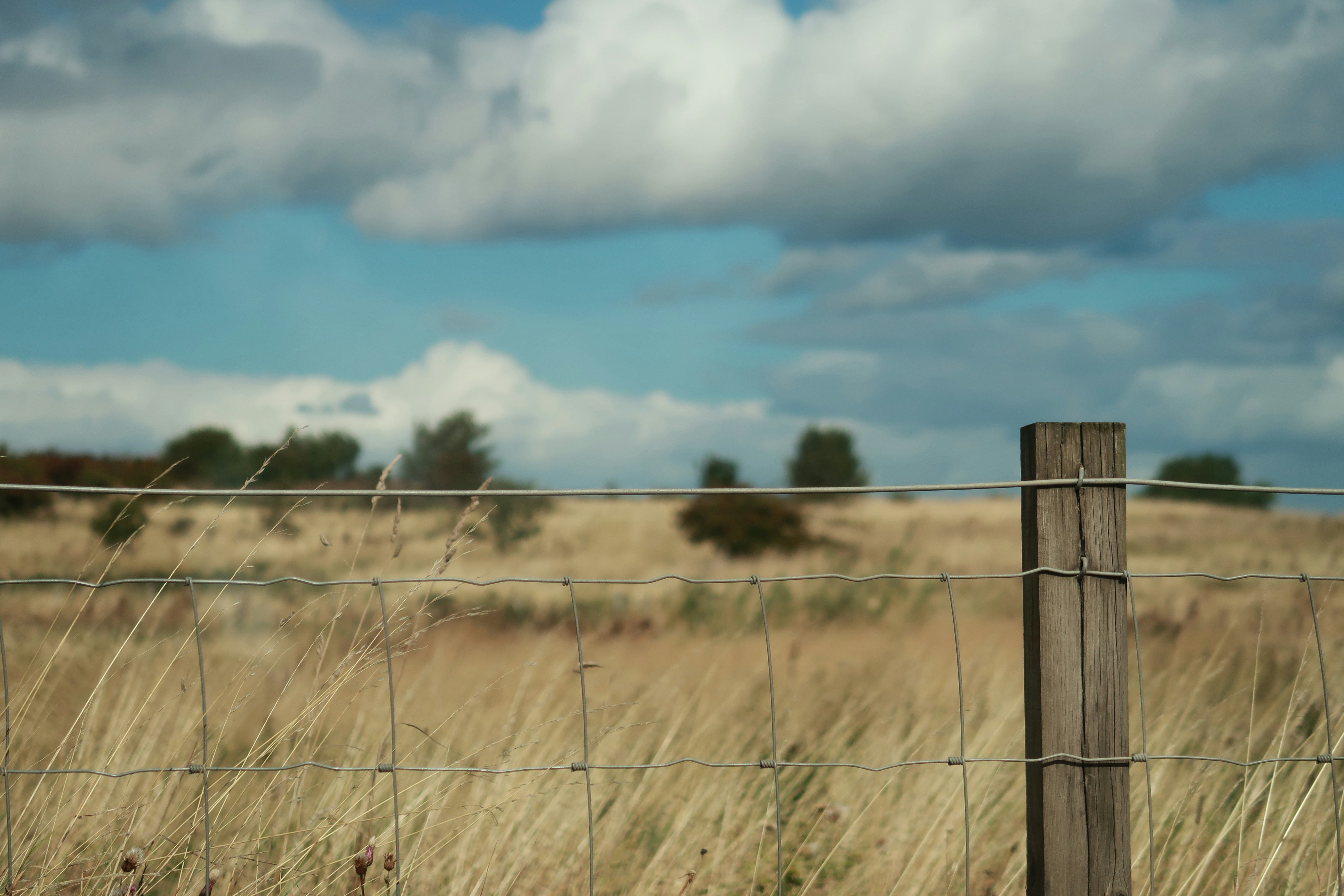 Photo by zhangcheng42