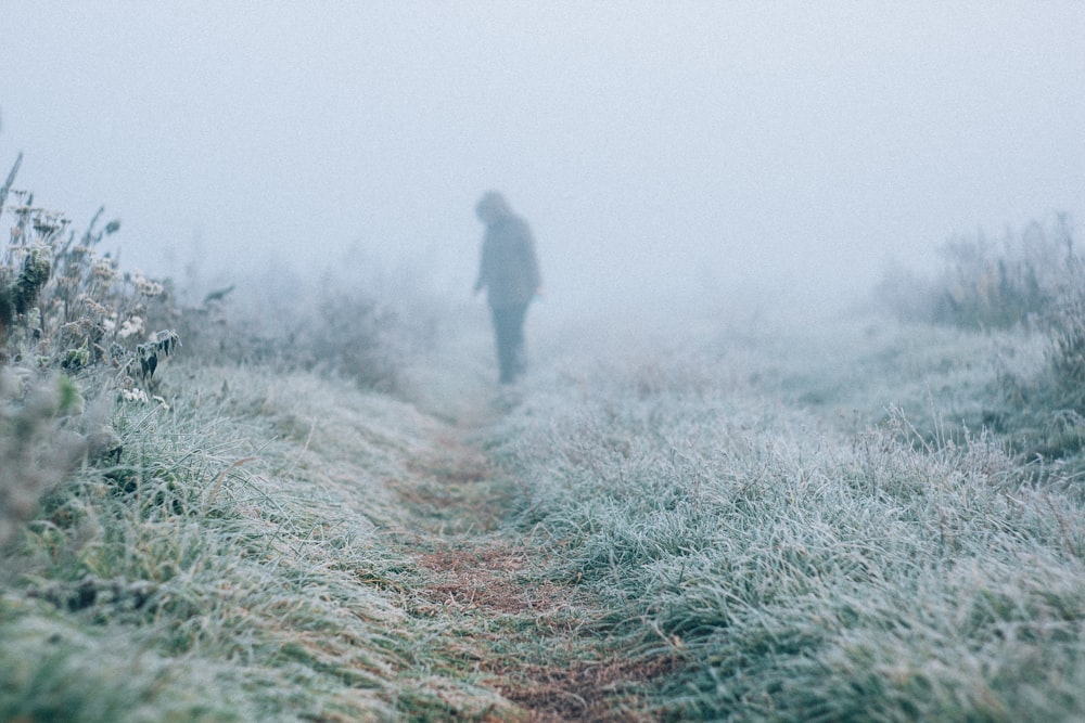 person standing on pathway with grass