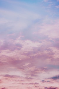 Lavender Night Wallpaper