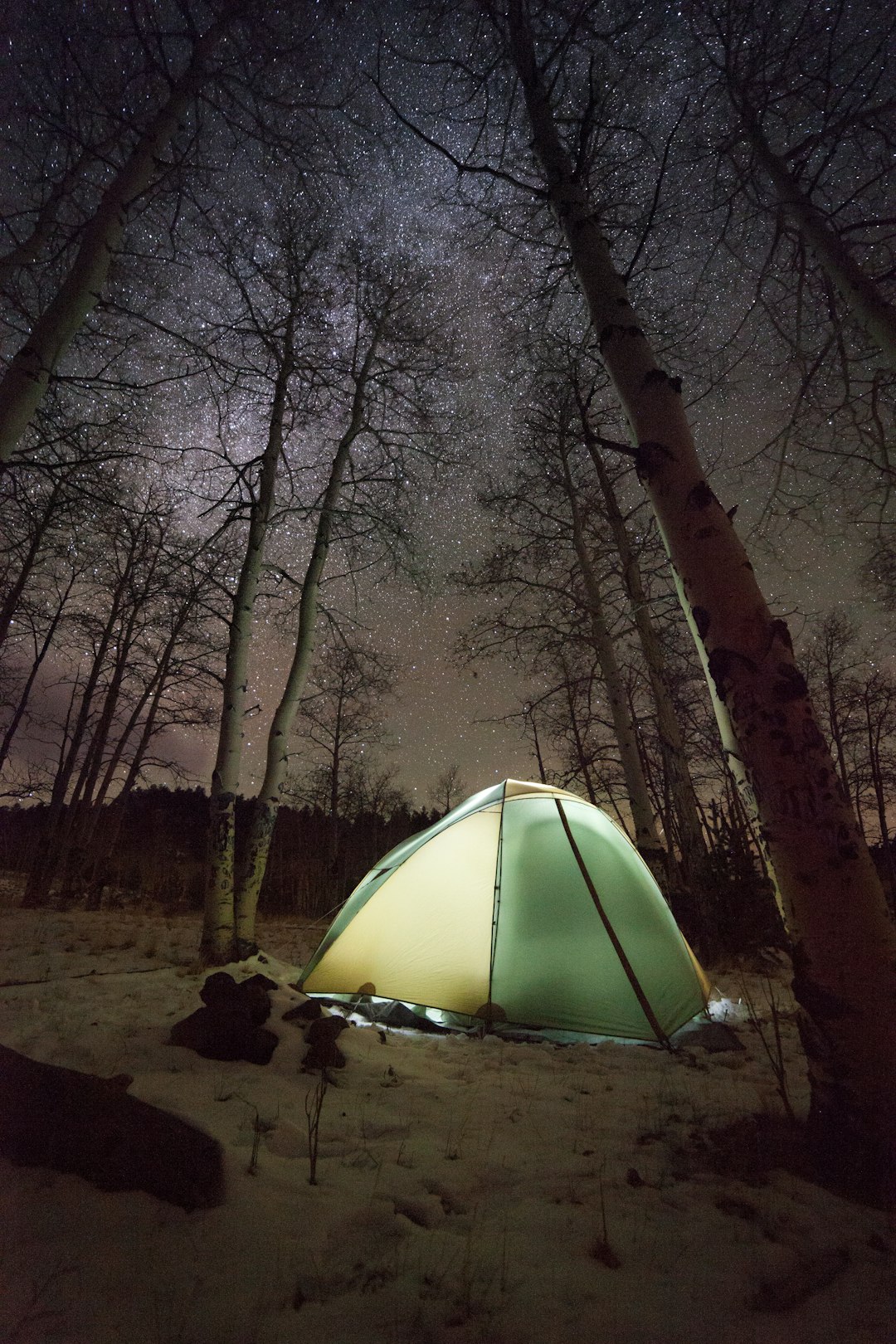 dome tent surrounded with bare trees during night time