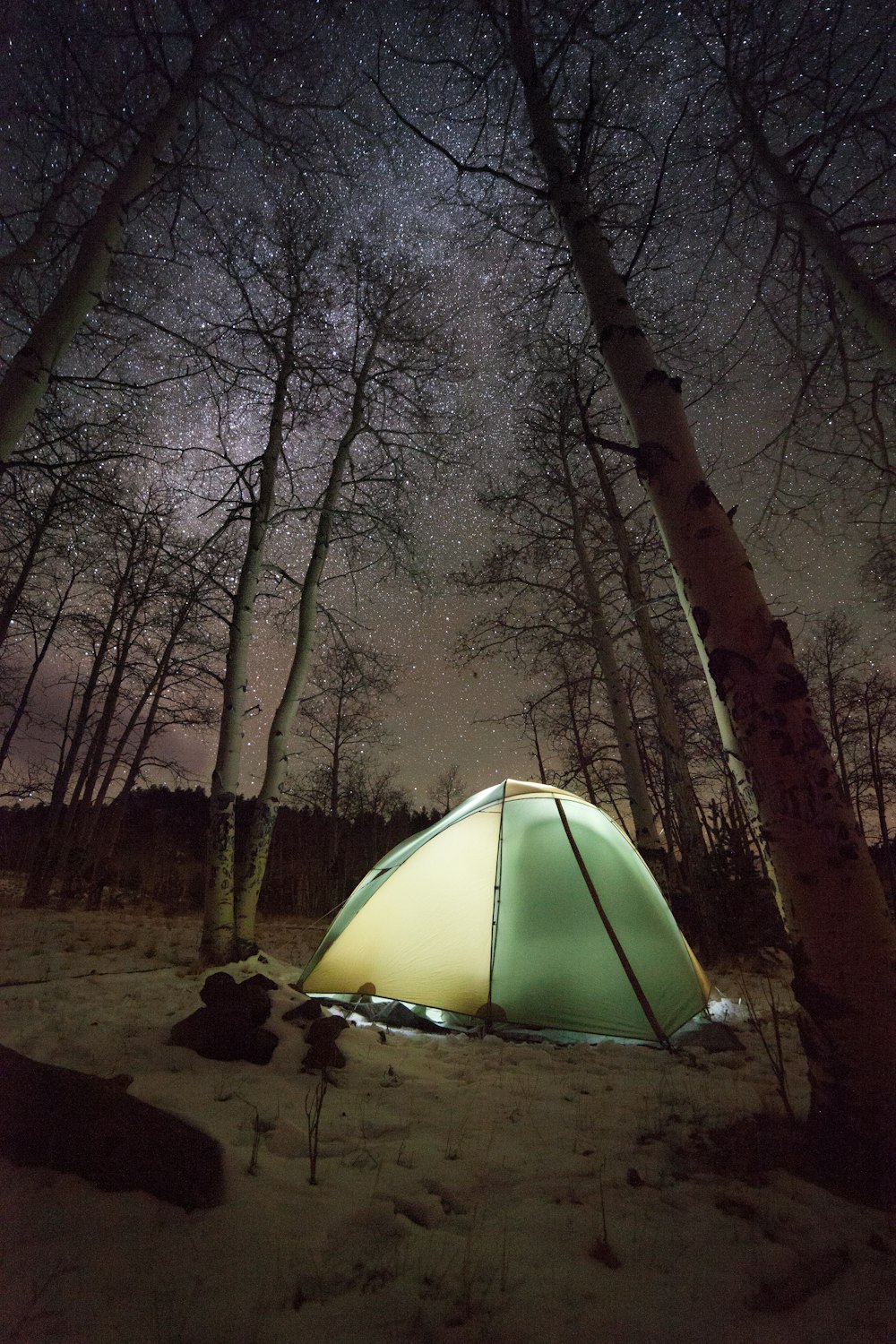 dome tent surrounded with bare trees during night time
