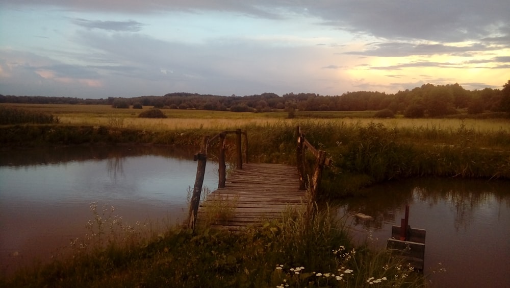 brown wooden dock on body of water