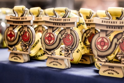 A collection of medals with a dragon design and text indicating 'Brovary 2018 Ukraine Open Championship Kata' displayed on a table. The medals are golden with red details and feature intricate designs.