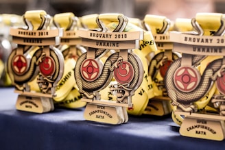 A collection of medals with a dragon design and text indicating 'Brovary 2018 Ukraine Open Championship Kata' displayed on a table. The medals are golden with red details and feature intricate designs.